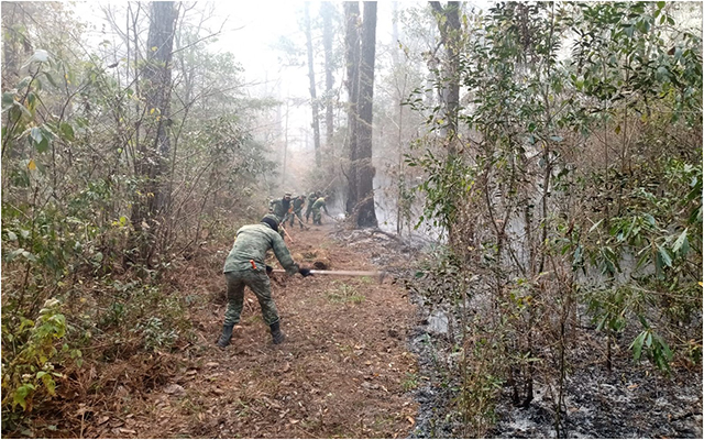 Ejército apoya en la sofocación de un incendio en Gómez Farías, Tamaulipas