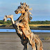 Amazing driftwood sculpture