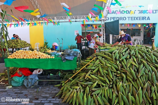 Festival do Milho da Cecaf supera expectativas e comercializa mais de 270 mil espigas