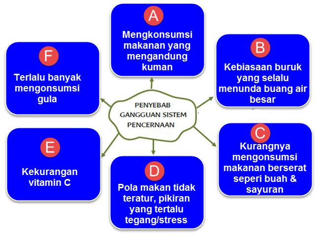 Hasil gambar untuk PETA PIKIRAN