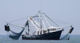 ALAT BANTU PENANGKAPAN TRAWLER