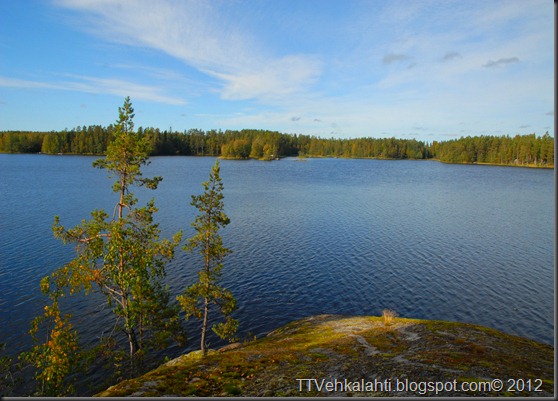 ötökät ikkunssa haukijärvi keloja 047