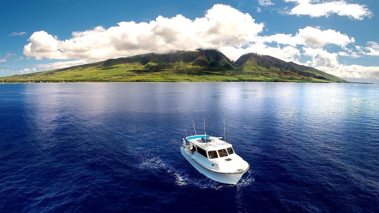 Maui Sport Fishing Charters Reviews