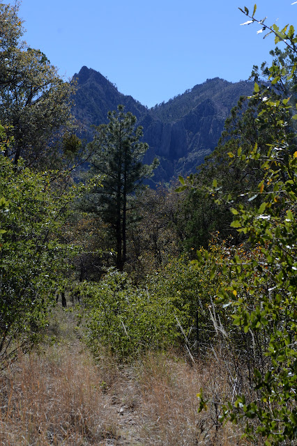 Winn Falls from along the fence line