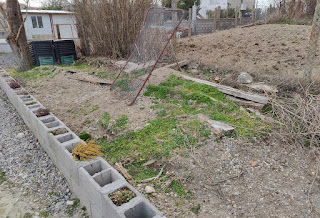 A bit of a rough area of garden needed tidying