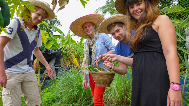 Thai Secret Cooking Class & Garden Farm Tour