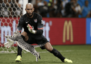 Alguien reemplazó los balones de fútbol frente a los porteros con gatos y es oro puro