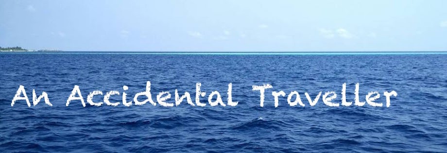 Travel Guide Review - An accidental traveller