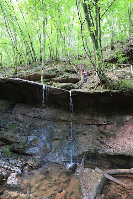 Wandern in der Eifel - Butzbachtal Römerpfad