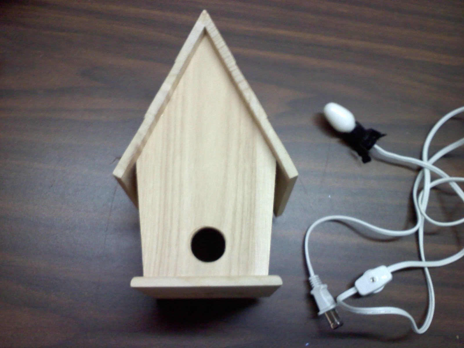 Tiptoethrough: DIY Bird House Night Light