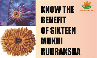 Know the Benefit of Sixteen Mukhi Rurdraksha