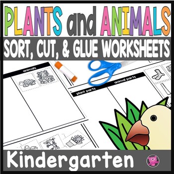 These 15 easy-to-use worksheets are a great way to teach students about plant and animal classification, basic needs, and more. Perfect for homework or spiral review.