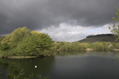 Tänane järv