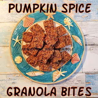  Pumpkin Spice Granola Bites