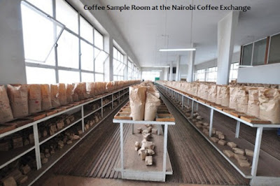 coffee sample room at the Nairobi Coffee Exchange