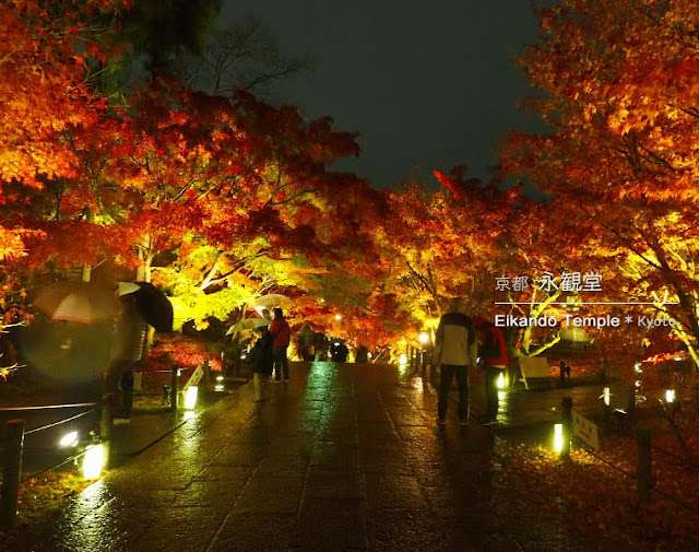 京都 永観堂の紅葉ライトアップ
