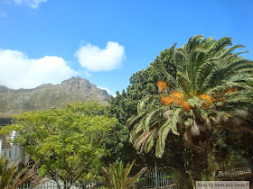 Kirstenbosch Botanical Garden