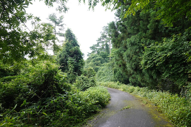 鳥取県西伯郡大山町赤松 赤松池