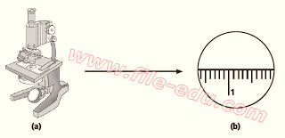 Cara Menggunakan Mikroskop