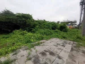 ที่ดิน บางคูวัด ปทุมธานี มุมมองที่ 1 แสดงภาพรวมของแปลงที่ดิน