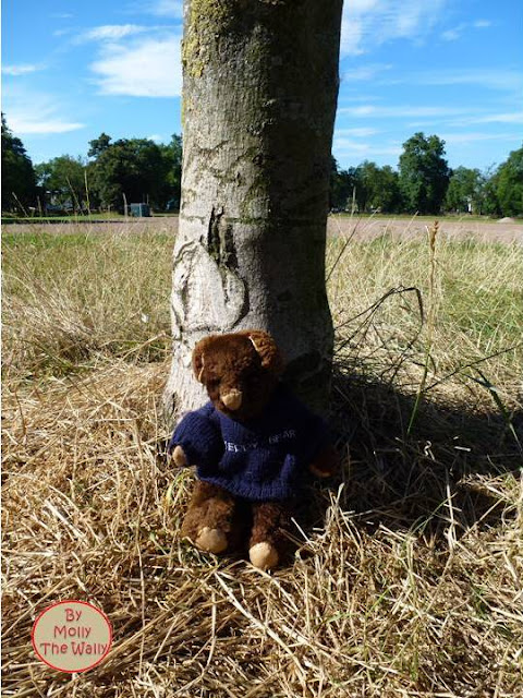 Molly The Wally on The Park having a Lark with Big Bear!