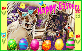 The Real Cats 2017 Happy Easter card