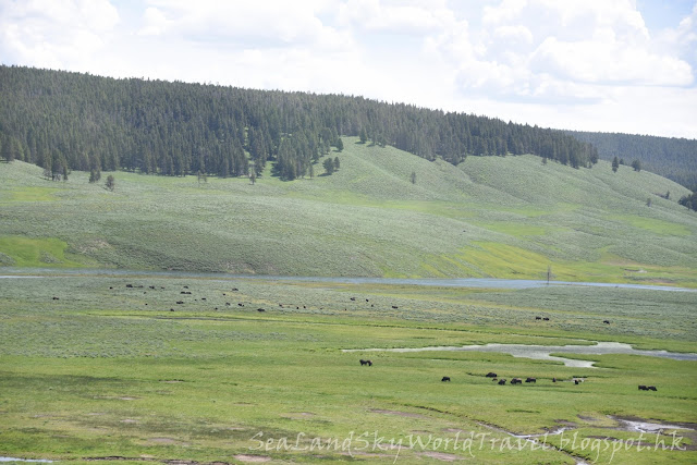 黃石國家公園, yellowstone national park