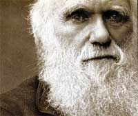 Darwin Face