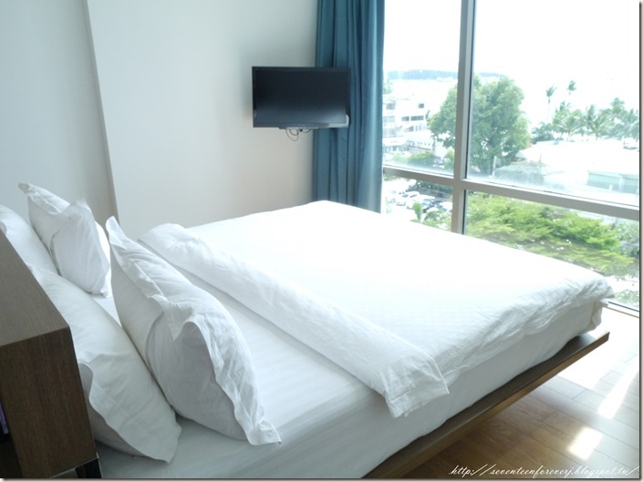 PhotoCap_007