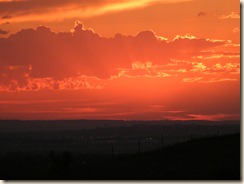 DSCF6493