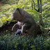 Okja - Netflix