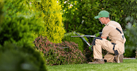 Residential-Landscaping-Maintenance-Essential-Tips-for-a-Stunning-Garden