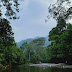 Wisata Tangkahan (Part 1)