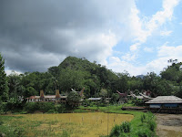 tana toraja sulawesi indonesia