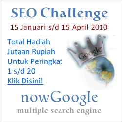 nowGoogle.com adalah Multiple Search Engine Popular