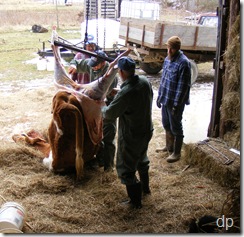 Skinning Gambrel