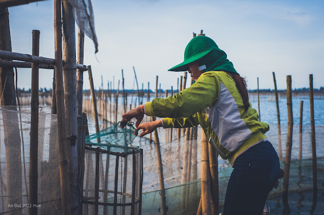 Trải nghiệm thực tế cuộc sống của ngư dân trên Đầm Chuồn