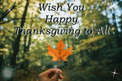 Wish you happy thanksgiving to you written on maple leaf with forest background image.
