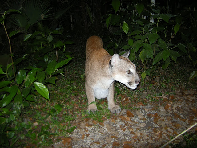 Belize Central America geology travel trip tour reef karst caves ocean coral