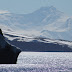 #892 Deception Island, South Shetland Islands, Antarctica