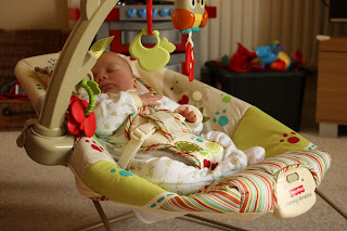 Fisher-Price woodsy vibrating bouncer