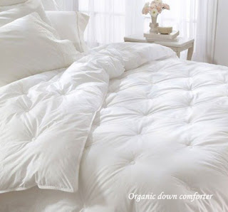   Organic Down Comforters