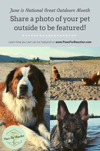 National Great Outdoors Month: Submit a photo of your pet outdoors to be featured