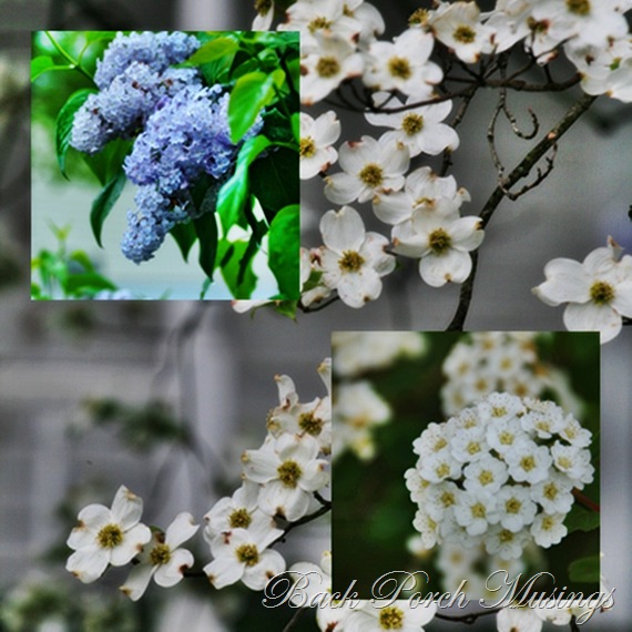 mosaicJ