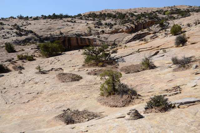 slickrock with biological crusts and cemented cairns