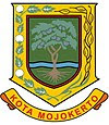 Informasi Terkini dan Berita Terbaru dari Kota Mojokerto