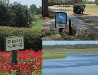 Winding River Plantation pictures, golf, river, Bolivia NC Brunswick County