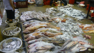 array of fish displayed for sales