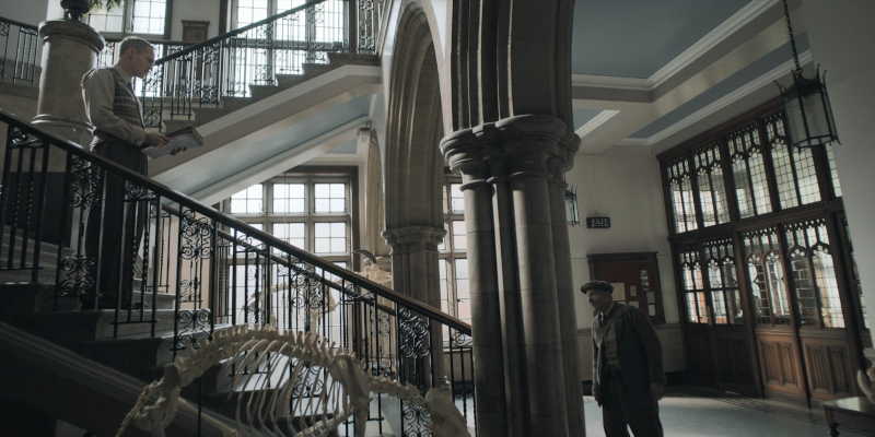 Ipswich Museum hall