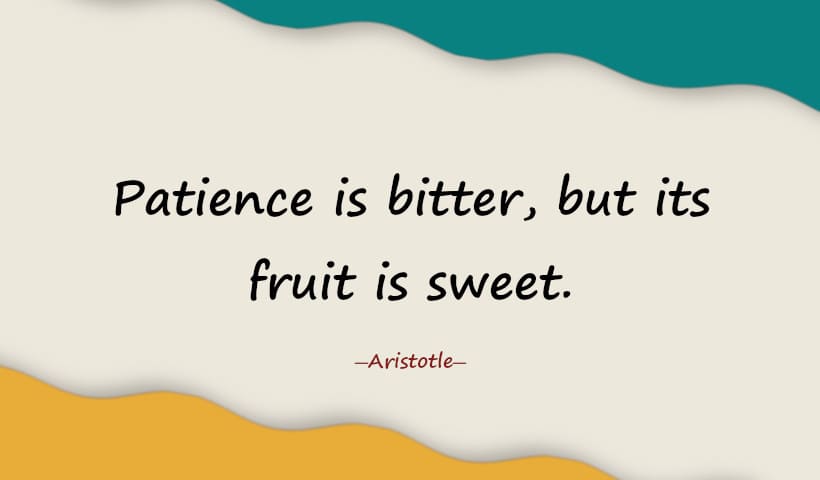 Patience is bitter, but its fruit is sweet.